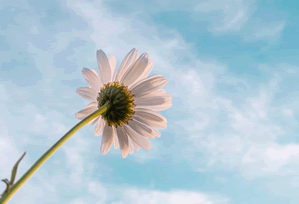 Gmail登录异常无法验证